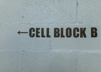 The Real Reason Prison Exist