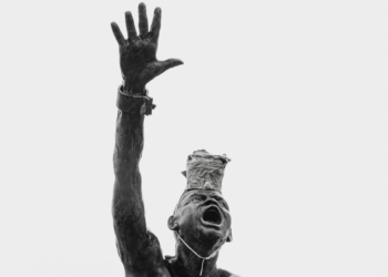 ORGANIC HUMAN vs HYBRID HUMAN